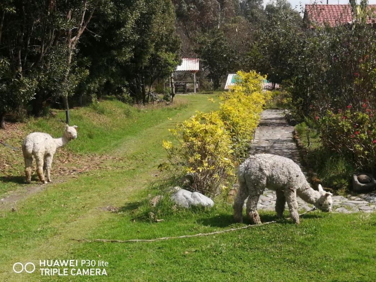 Hostal El Vaquero Chugchilán 외부 사진
